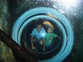 August2008 094